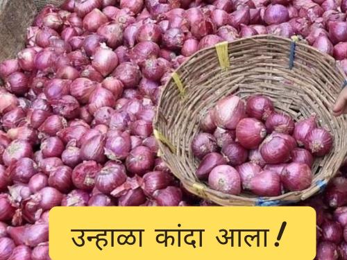 Latest News 03 March Todays Onion market Price In maharashtra | उन्हाळ कांदा बाजारात आला, बाजारभाव काय मिळाला, जाणून घ्या सविस्तर 