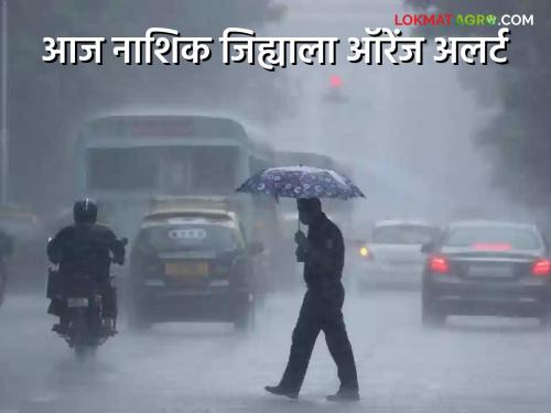 Latest News Nashik Rain Update Heavy rain in Nashik district, orange alert today, read in detail  | Nashik Rain Update : नाशिक जिल्ह्यात मुसळधार, आज ऑरेंज अलर्ट, वाचा सविस्तर 