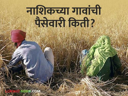 Agriculture News : 1962 villages in Nashik district are out of government assistance, know in detail  | Agriculture News : नाशिक जिल्ह्यातील 1962 गावे शासकीय मदतकक्षेतुन बाहेर, जाणून घ्या सविस्तर 