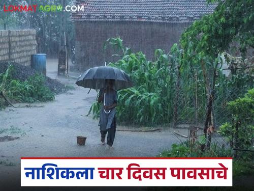 Latest News Nashik rain Heavy rains in Nashik district for next four days, read in detail | नाशिक जिल्ह्यातील 'या' भागात पुढील चार दिवस मुसळधार पाऊस, वाचा सविस्तर 