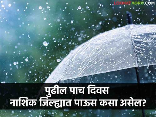 Latest news Rain forecast for next five days in Nashik district Know in detail  | Nashik Rain : नाशिक जिल्ह्यात पुढील पाच दिवस पाऊस बरसणार का? जाणून घ्या सविस्तर 