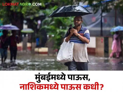 Latest News mumbai rain Chance of heavy rain in some parts of Nashik district | Nashik Rain : मुंबईत जोरदार पाऊस, नाशिक जिल्ह्यासाठी काय आहे पावसाचा इशारा? वाचा सविस्तर 