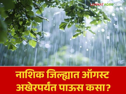 Latest News Nashik Rain Update Moderate rain in Nashik district till the end of August Know in detail   | Nashik Rain Update : नाशिक जिल्ह्यात ऑगस्ट अखेरपर्यंत पाऊस कसा असेल? जाणून घ्या सविस्तर  