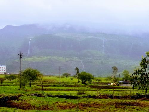 Latest News Nashik Rain Update 41 percent more rain in Nashik district than last year | Nashik Rain Update : जून-जुलै कोरडा, ऑगस्टने सरासरी भरून काढली, नाशिक जिल्ह्यात 'इतका' पाऊस 