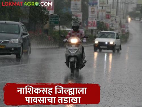 Latest News Unseasonal rains hit the district including Nashik, see todays weather | Nashik Rain : नाशिकसह जिल्ह्याला अवकाळी पावसाचा वादळी तडाखा, आज कसे असेल हवामान? 