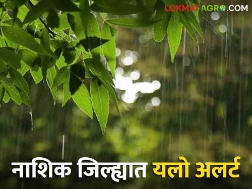 Latest news Nashik Rain Update Yellow alert in Nashik district for next two days, know in detail  | Nashik Rain Update : पुढील दोन दिवस नाशिक जिल्ह्यात यलो अलर्ट, जाणून घ्या सविस्तर 