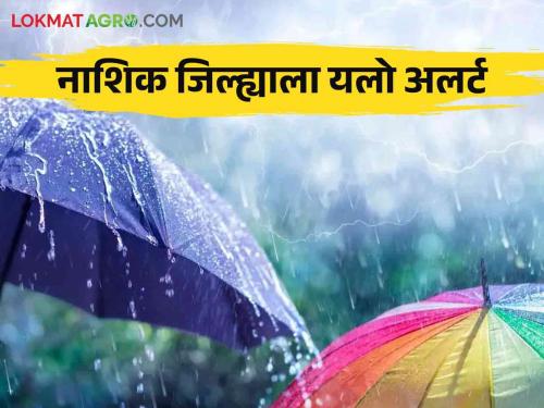 Latest News Nashik Rain Update Yellow alert for Nashik district, chances of rain till 23rd October, read in detail  | Nashik Rain Update : नाशिक जिल्ह्याला यलो अलर्ट, 23 ऑक्टोबरपर्यंत पावसाची शक्यता, वाचा सविस्तर 