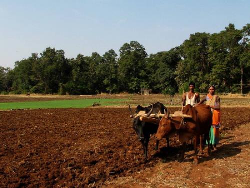 Guiding farmers in state level meetings, organizing various lectures | राज्यस्तरीय मेळाव्यात शेतकऱ्यांना मार्गदर्शन, विविध व्याख्यानांचे आयोजन