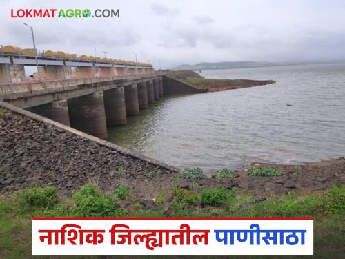 Latest news discharge from Nandur Madhyameshwar see Gangapur Dam storage Read in detail | Nashik Dam Storage : नांदूरमध्यमेश्वरमधून विसर्ग, गंगापूर धरण किती टक्क्यांवर? वाचा सविस्तर 