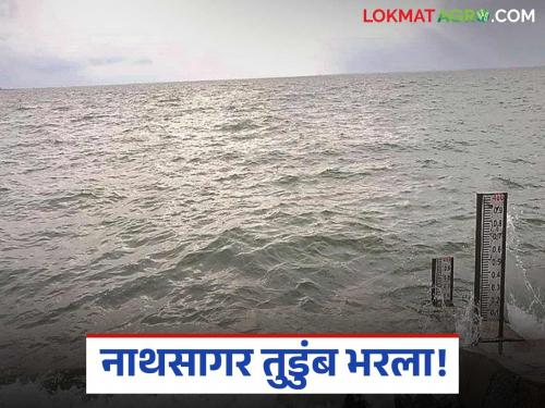 latest news Jayakawadi Dam Water Level: Jayakawadi Dam's water level increased rapidly due to Gangapur, Darna discharge read in details | Jayakawadi Dam Water Level : गंगापूर, दारणा विसर्गामुळे जायकवाडी धरणाचा साठा झपाट्याने वाढला वाचा सविस्तर