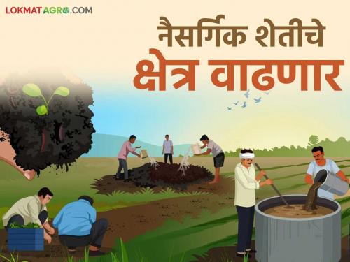 National Mission on Natural Farming NMNF launched; How will farmers benefit? Read in detail | नैसर्गिक शेती प्रोत्साहन अभियानाला सुरवात; शेतकऱ्यांनो कसा घ्याल लाभ? वाचा सविस्तर
