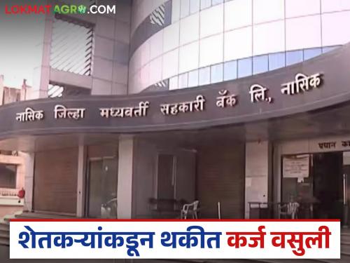 Latest News NDDC Bank Samopachar scheme implemented, recovery of Rs 25 lakhs from Nashik District Bank by farmers | सामोपचार योजना लागू, नाशिक जिल्हा बँकेकडून पहिल्याच दिवशी 25 लाखांची वसुली 