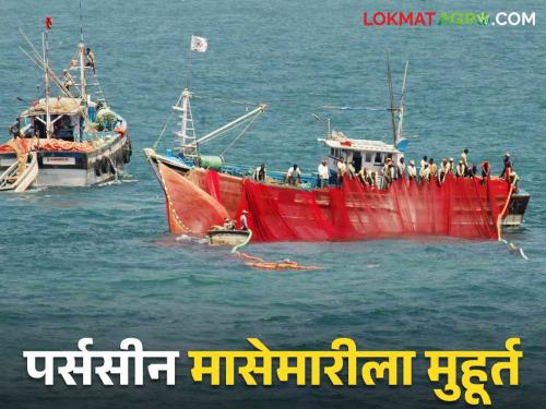 Purse seine net fishing : Commencement start from September 1 for Purse seine net fishing | Purse seine net fishing : पर्ससीन नेट मासेमारीसाठी १ सप्टेंबरपासून सुरुवात