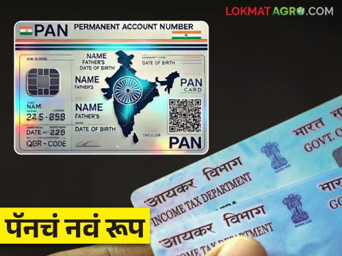 PAN 2.0 : Major changes in your PAN card; What is PAN 2.0 Project Read in detail | PAN 2.0 : तुमच्या पॅन कार्डमध्ये होणार हे मोठे बदल; काय आहे पॅन २.० प्रकल्प वाचा सविस्तर