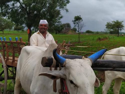 Order not to accept entries from any Agricultural Science Centres | कोणत्याही कृषी विज्ञान केंद्रांकडून निविष्ठा न घेण्याचा आदेश