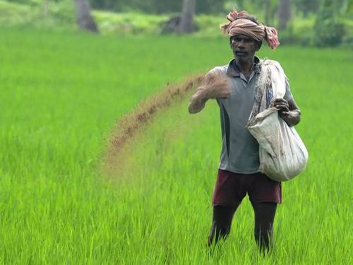 Eknath Khadse's demand in the hall to give 10 thousand rupees per hectare subsidy to the farmers of Marathwada for sowing. | मराठवाड्यातील शेतकऱ्यांना पेरणीसाठी रोख १० हजार रुपये देण्याची एकनाथ खडसे यांची सभागृहात मागणी