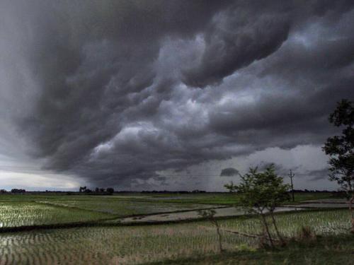 Heavy rains in the Mharashtra for the next five days, alert to 'these' districts | पुढील पाच दिवस राज्यात मुसळधार, 'या' जिल्ह्यांना अलर्ट