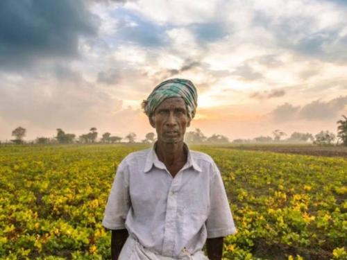 Instructions to promptly inform the media about the happenings in agricultural universities | कृषी विद्यापीठांमधील घडामोडींची माहिती माध्यमांना तातडीने देण्याच्या सूचना