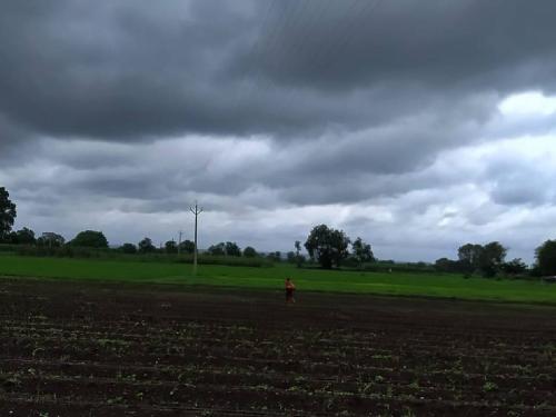 Yellow alert for rain in Vidarbha for the next four days, where will it rain? | पुढील चार दिवस विदर्भात पावसाचा येलो अलर्ट, 'इथे' वादळी वाऱ्यासह विजाही पडण्याची शक्यता