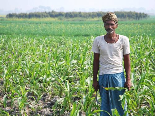 Fear of this year's August being the driest in the century? | यंदाचा ऑगस्ट शतकातील सर्वाधिक कोरडा ठरण्याची भीती?