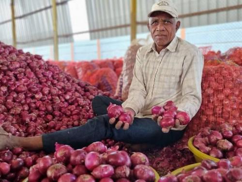 One and a half lakh farmers eligible for onion subsidy | कांदा अनुदानासाठी दीड लाख शेतकरी पात्र