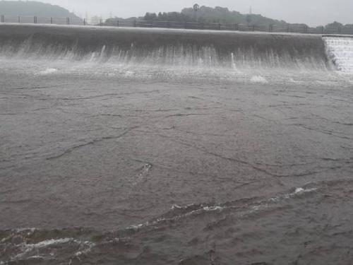 The water level of dams across the state has risen, alert warning to the villages along the dam | राज्यभरातील धरणांची पाणी पातळी वाढली, धरणकाठच्या गावांना सतर्कतेचा इशारा