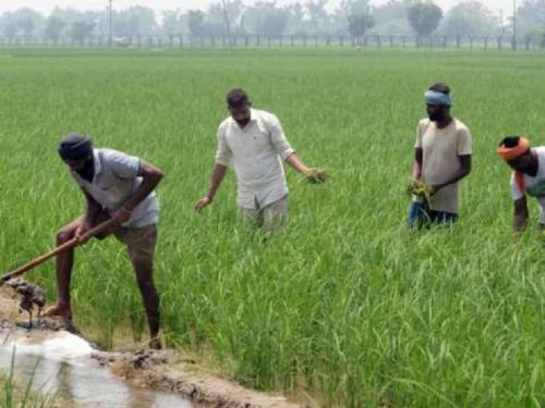 Chief Minister appeals to farmers to turn to modern agriculture | शेतकऱ्यांना आधुनिक शेतीकडे वळण्याचे मुख्यमंत्र्यांचे आवाहन