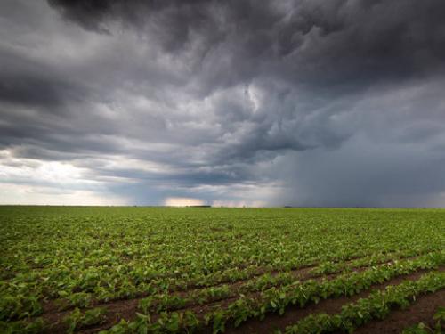 Light rains in Aurangabad district for the next three days, how will you take care of the crops? | औरंगाबाद जिल्ह्यात पुढील तीन दिवस हलक्या सरींचे, पिकांची कशी घ्याल काळजी?