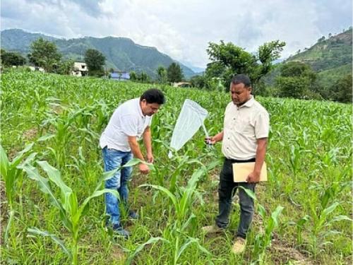 1500 farmers, technicians and youth of Marathwada will get training in agricultural mechanization. | मराठवाड्यातील १५०० शेतकरी, तंत्रज्ञ आणि युवकांना मिळणार कृषी यांत्रिकीकरणाचे प्रशिक्षण 