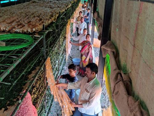 Farmers in Devgaon took up silk farming, many farmers became millionaires | देवगावमधील शेतकऱ्यांनी धरली रेशीम शेतीची कास, अनेक शेतकरी झाले लखपती 