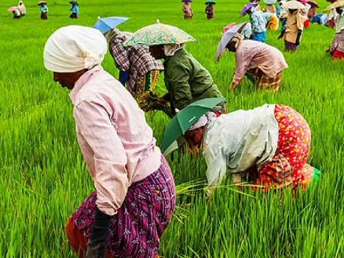 Agriculture Process Awareness Fortnight will be held from 1st to 15th August across the state | राज्यभर १ ते १५ ऑगस्ट दरम्यान होणार कृषी प्रक्रिया जागृती पंधरवडा