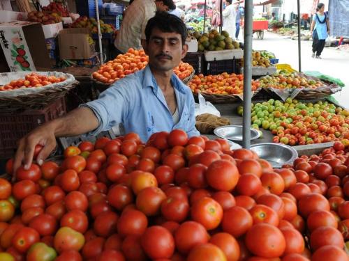 Farmers got income of lakhs from tomatoes | शेतकऱ्यांना टोमॅटोमधून मिळाले लाखोंचे उत्पन्न