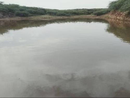 84 Amrit Sarovar revived to increase water storage, irrigation! | जलसाठा, सिंचन वाढविण्यासाठी ८४ अमृत सरोवर पुनरुज्जीवित !