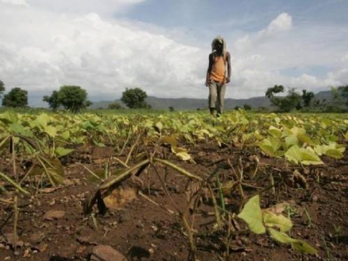 Rainfall will be low in August, Meteorological Department predicts: possibility of deluge is grey | ऑगस्टमध्ये पाऊस कमीच राहणार हवामान विभागाचा अंदाज : महापूर येण्याची शक्यता धूसर