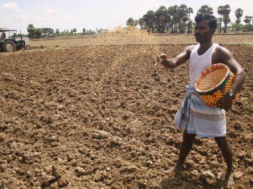 Now even small farmers can do seed farming | आता छोट्या शेतकऱ्यांनाही करता येणार बियाणांची शेती