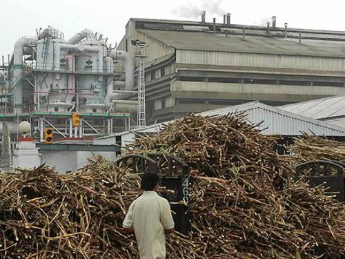 Ethanol must be produced in the sugar factories of the state | राज्यातील साखर कारखान्यांमध्ये इथेनॉलची निर्मिती व्हायलाच हवी 