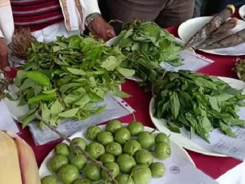 Gavran wild vegetable festival will be organized in Chandrapur from 10th to 15th August | चंद्रपुरात फुलणार गावरान रानभाज्यांचा महोत्सव, १० ते १५ ऑगस्टपर्यंत आयोजन