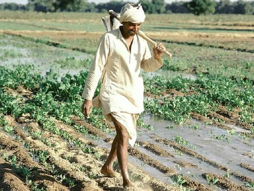 Worries of small farmers are now over, records of dryland, horticultural farming are easy | छोट्या शेतकऱ्यांची चिंता आता मिटली, कोरडवाहू, बागायती शेतीच्या नोंदी सुकर