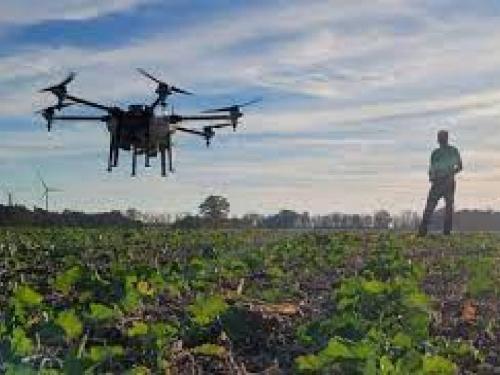 Instructions to Agricultural Universities to check feasibility of drones during Kharif season | खरीप हंगामात ड्रोनची व्यवहार्यता तपासण्याचे कृषी विद्यापीठांना निर्देश 