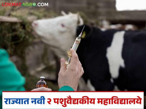Will there be a new veterinary degree college in these two places in the state? Read in detail | राज्यात या दोन ठिकाणी नवीन पशुवैद्यक पदवी महाविद्यालय होणार; वाचा सविस्तर