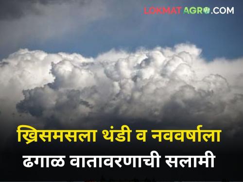 maharashtra weather rain Greetings of cold weather for Christmas cloudy weather for New Year | 'ख्रिसमसला थंडी व नववर्षाला ढगाळ वातावरणाची सलामी' 