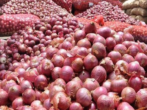 Onion is getting a price of 50 rupees per kilo in the thok market! | ठोक बाजारात कांद्याला मिळतोय ५० रुपये किलो भाव !