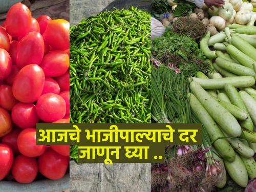 Today, the price of vegetables in the weekly market of Chhatrapati Sambhajinagar was... | आज छत्रपती संभाजीनगरच्या आठवडी बाजारात असे होते भाज्यांचे दर...