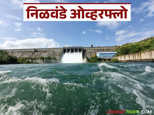 Nilwande Dam Update : Nilwande Dam filled to full capacity; 3 thousand cusecs of water released into Pravara river | Nilwande Dam Update : निळवंडे धरण पूर्ण क्षमतेने भरले; प्रवरा नदीत ३ हजार क्यूसेकने विसर्ग सुरु