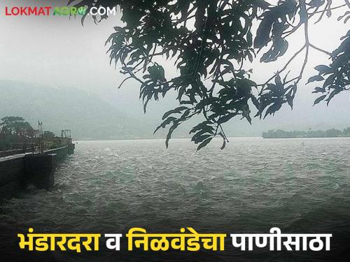 Heavy rains in the catchment area of dams; How much water has accumulated in Bhandardara, Nilwande and Mula dams? | धरणांच्या पाणलोट क्षेत्रात पावसाचा जोर; भंडारदरा, निळवंडे व मुळा धरणांत झाला किती पाणीसाठा?