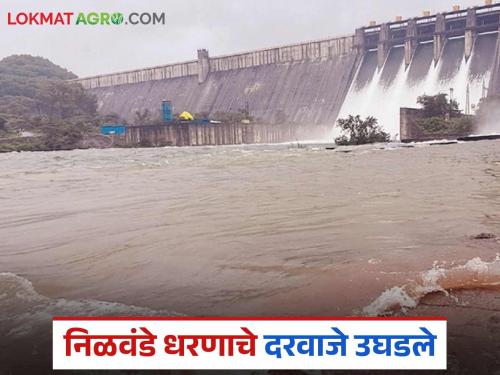 12 thousand cusecs released from Nilwande dam, flooding Pravara river; Alert issued to villages along the river | निळवंडे धरणातून १२ हजार क्युसेकने विसर्ग, प्रवरा नदीला पूर; नदी काठच्या गावांना सतर्कतेचा इशारा