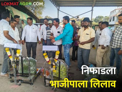 Latest News Vegetable auction starts from today in Niphad sub market committee | निफाड उपबाजार समितीत आजपासून भाजीपाला लिलाव सुरू