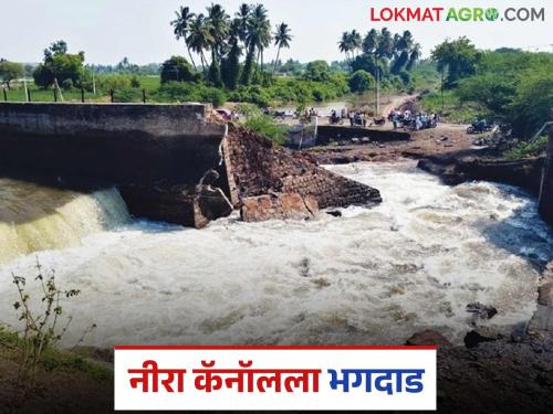 Nira Cana : The leak was supposed to be stopped in the morning, but the canal burst in the early hours of the morning; Lakhs of liters of water wasted | Nira Canal : सकाळी गळती थांबविणार होते, पहाटेच कॅनॉल फुटला; लाखो लिटर पाणी वाया