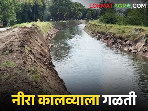 15 days duration for Nira Canal leak repair | Nira Canal नीरा कालवा गळती दुरुस्तीला लागणार १५ दिवसांचा कालावधी