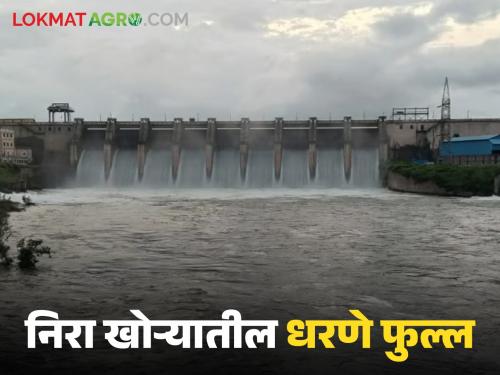 Latest News Nira, bhatghar, vir, gunjvani dam are full, discharge from Veer dam, administration appeal  | Nira Devghar Dam : निरा खोऱ्यातील सर्व धरणे फुल्ल, वीर धरणातून विसर्ग, प्रशासनाचे आवाहन 